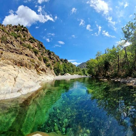 Moltifao Domaine U Filanciu - Casa Ghjulia - Centru Di Corsica 빌라 외부 사진