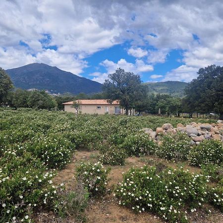 Moltifao Domaine U Filanciu - Casa Ghjulia - Centru Di Corsica 빌라 외부 사진